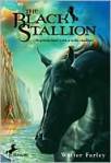 The Black Stallion