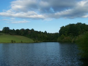 Another room with a view